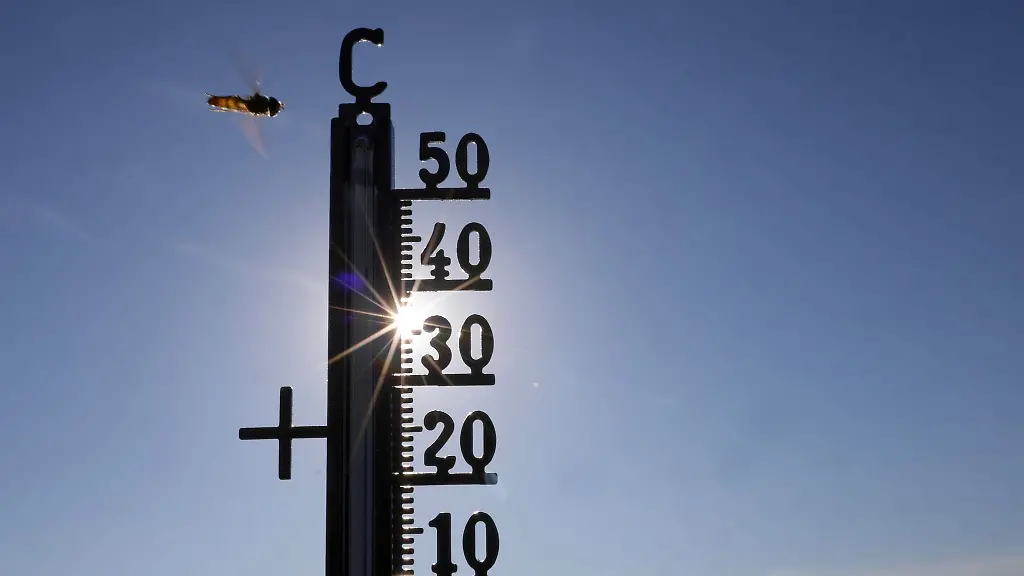 Die-hohen-Temperaturen-der-letzten-Wochen-haben-im-Suedwesten-Schaetzungen-zufolge-auch-zu-vielen-Todesfaellen-gefuehrt