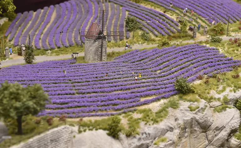 Lavendelfelder-bei-dem-Kloster-Abtei-Senanque-im-Miniatur-Wunderland-Hamburg-Deutschland-Europa