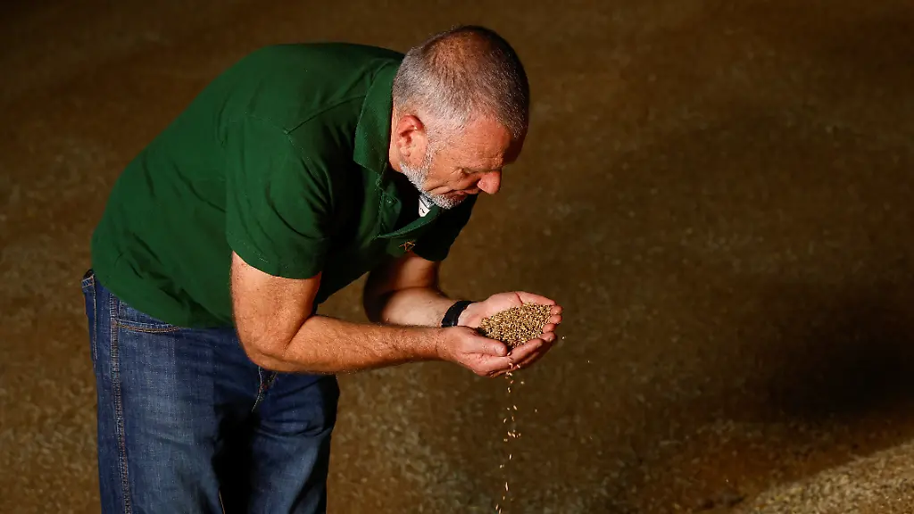 Ukrainian-farmer-Serhiy-Rybalko-shows-wheat-grains-inside-a-storage-facility-amid-Russia-s-attack-on-Ukraine-in-Zhytomyr-Region-Ukraine-August-7-2026