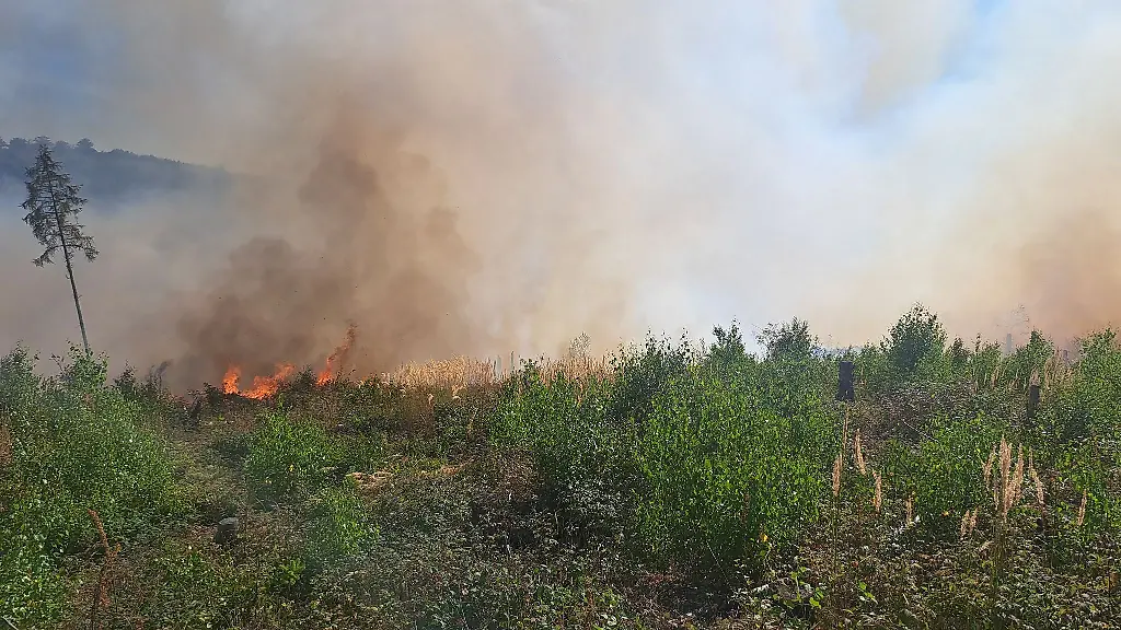 Beim-Eintreffen-der-Feuerwehr-habe-ein-grosses-Gebiet-bereits-in-Flammen-gestanden-berichtete-ein-Sprecher-der-Feuerwehr