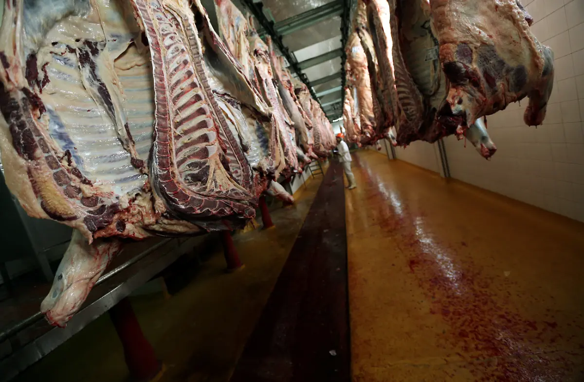 2017-06-27T052533Z-2004425349-RC1B5D9AB7F0-RTRMADP-3-ARGENTINA-BEEF