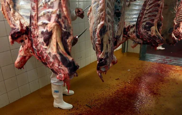 2018-08-28T163920Z-1404987499-RC1B1D2DFDD0-RTRMADP-3-ARGENTINA-BEEF