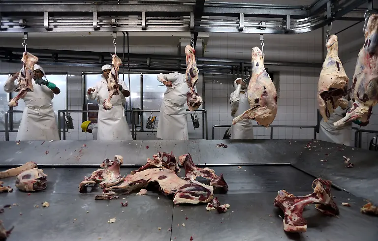 2017-06-27T052529Z-480740414-RC1FFF3F6800-RTRMADP-3-ARGENTINA-BEEF