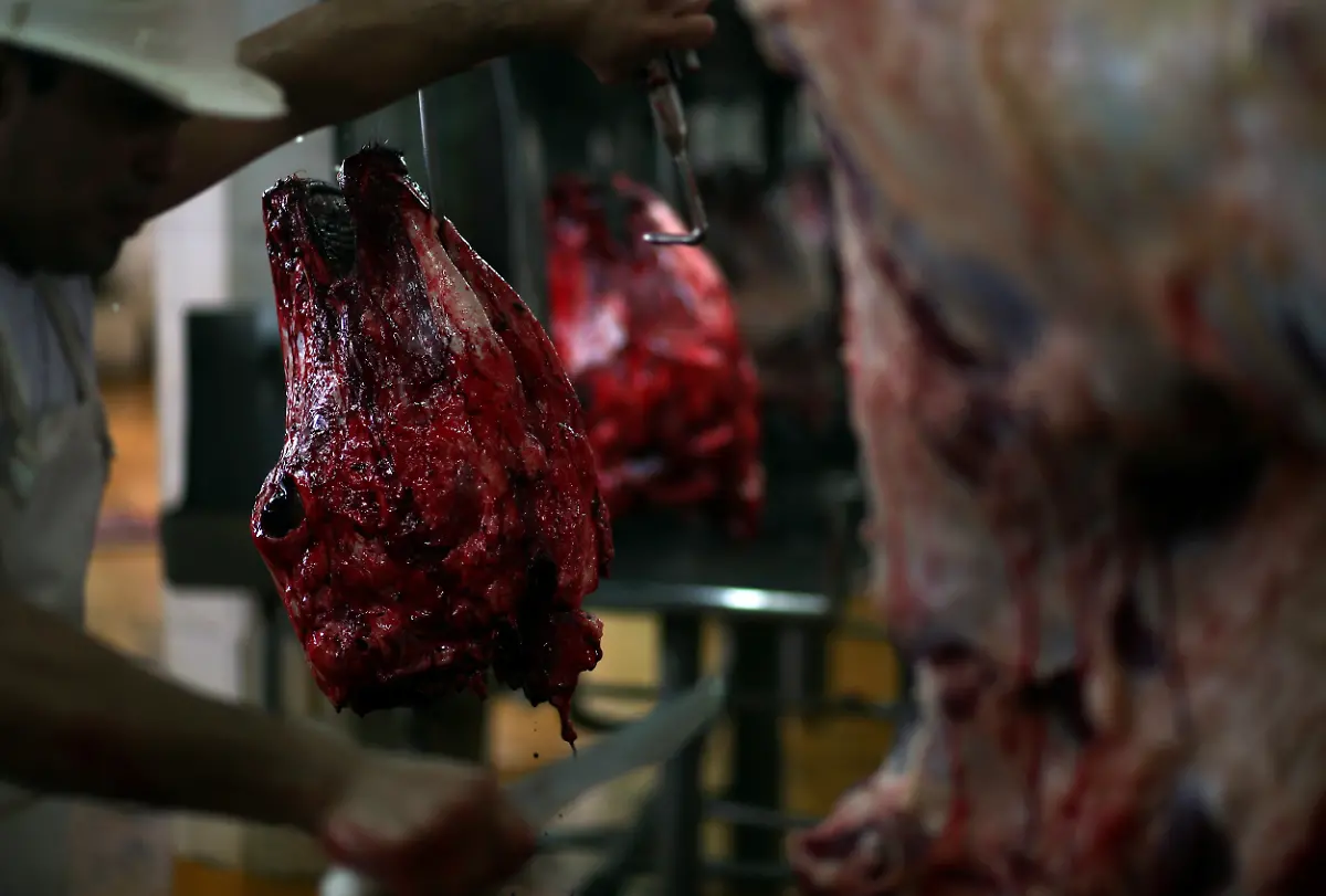 2017-06-27T052503Z-811294518-RC1C6B5ABE00-RTRMADP-3-ARGENTINA-BEEF