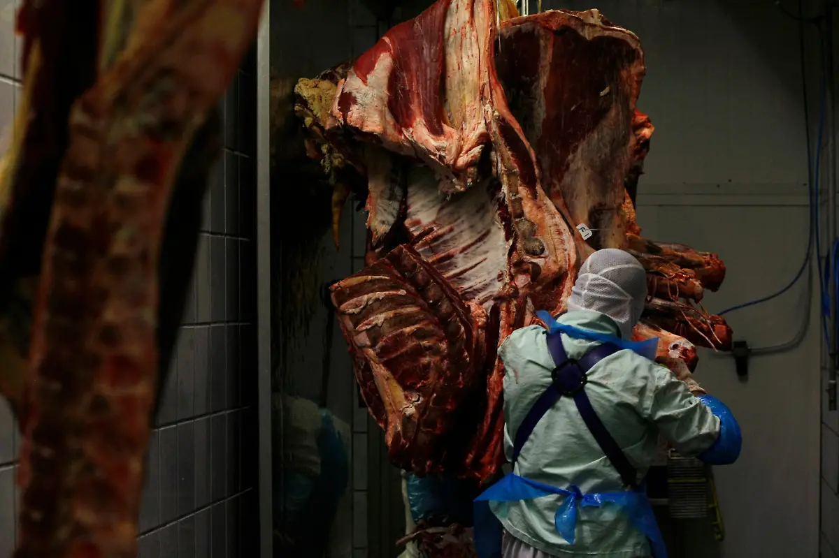 2013-07-23T120000Z-577996026-GM1E97O00H001-RTRMADP-3-POLAND-KOSHER