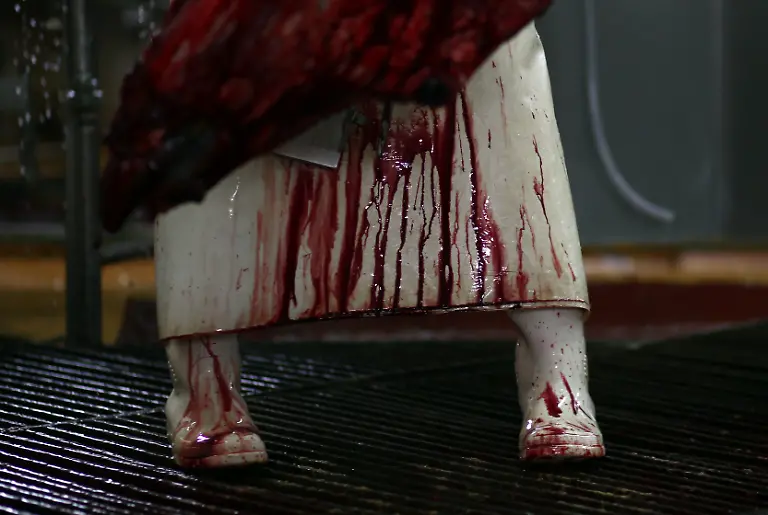 2017-06-27T052535Z-1269565206-RC1C8F30AD90-RTRMADP-3-ARGENTINA-BEEF