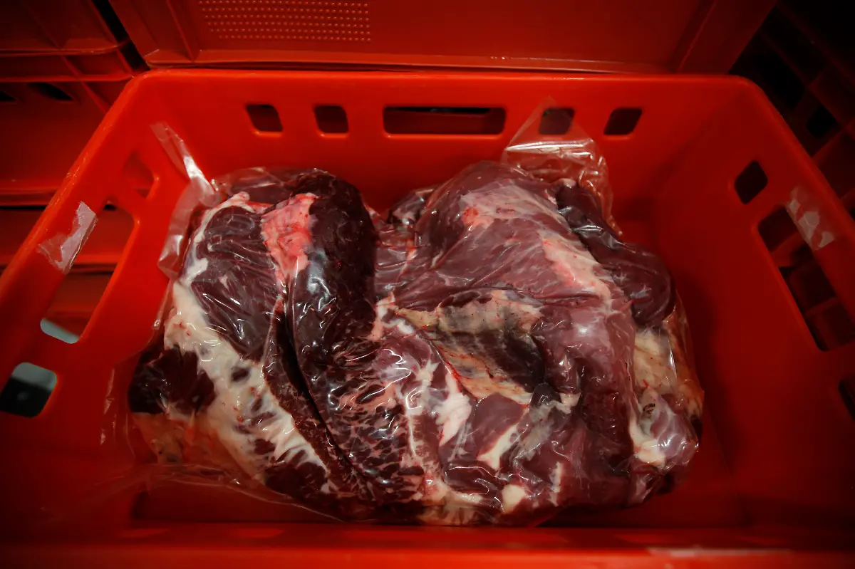 2013-07-23T120000Z-1023859675-GM1E97O00GB01-RTRMADP-3-POLAND-KOSHER