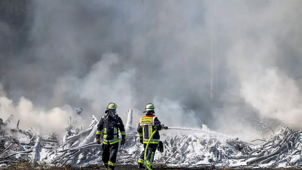 Ein-Boeschungsbrand-hat-einen-Feuerwehreinsatz-ausgeloest