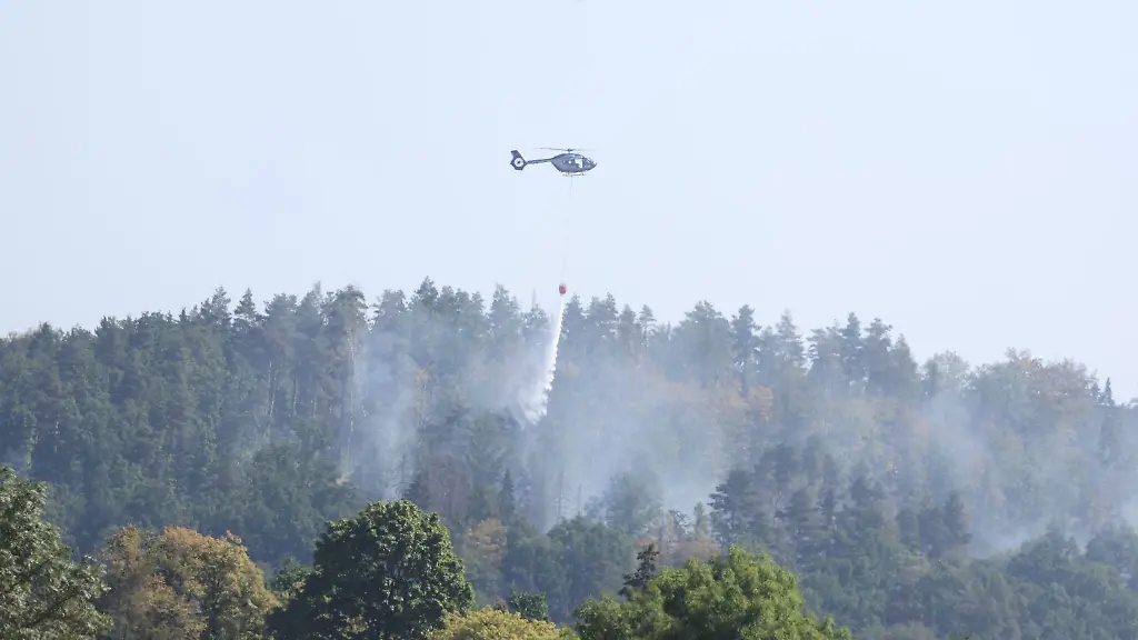 Seit-Dienstagabend-brennen-bei-Plauen-mehrere-Hektar-Wald