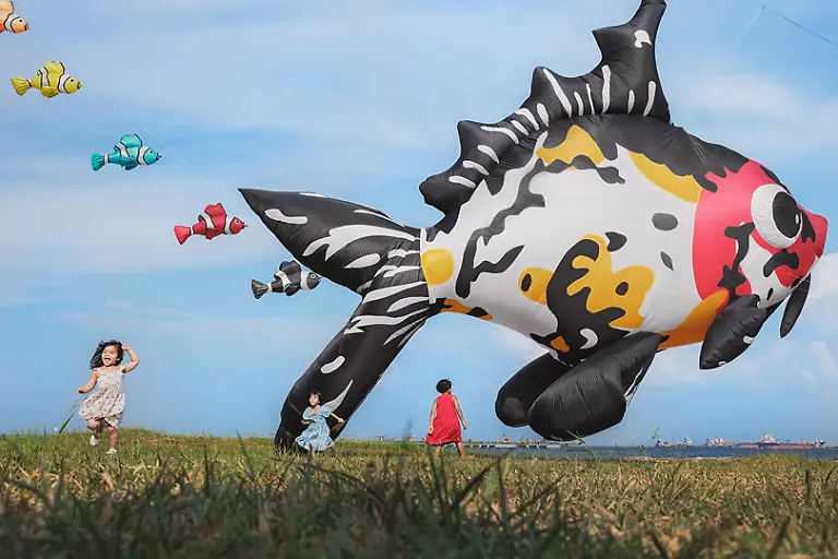 6ff3d8bc-0734-400f-9dd6-ccb779c44ea1_Playing-with-Fishes