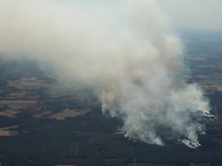 Rund 300 Hektar: Ministerin: Waldbrand in Eifel wohl größter in NRW-Historie