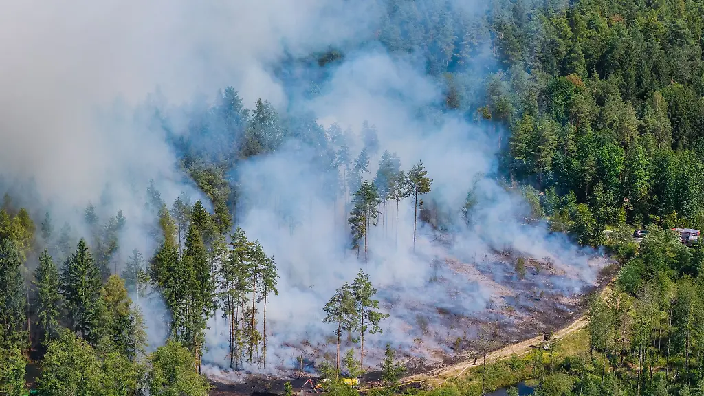 Mehr-als-200-Einsatzkraefte-haben-zusammen-mit-Landwirten-gegen-den-Waldbrand-gekaempft