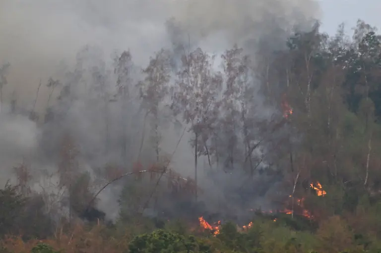 Flammen-lodern-bei-einem-Waldbrand-im-Huertgenwald-unweit-des-Ortsteils-Gey-Mehrere-Hundert-Hektar-Waldflaeche-stehen-in-Flammen