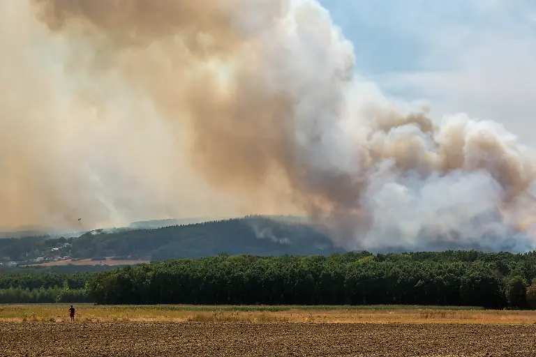 Ein-Mann-steht-auf-einem-Feldweg-und-blickt-auf-den-brennenden-Huertgenwald-Kreis-Dueren-NRW