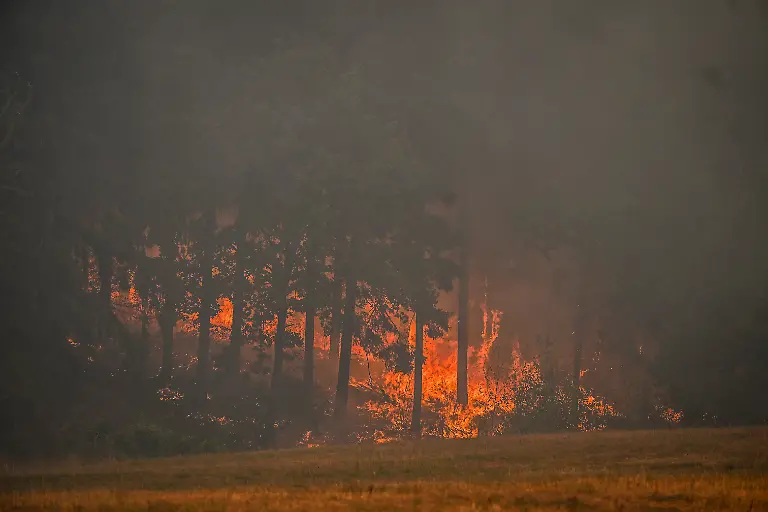 Waldbraende-im-Kreis-Dueren-in-der-Eifel-Huertgenwald-NUR-FUeR-REDAKTIONELLE-ZWECKE-EDITORIAL-USE-ONLY-Ein-kontrollierter-Gegenbrand-wurde-in-Grosshau-im-Wald-gelegt-am-Freitag-dem-14-08-2026-Rauchschwaden-verdunkeln-den-Himmel-die-Sonne-glueht-knallrot-Waldbraende-im-Kreis-Dueren-in-der-Eifel-Huertgenwald-Deutschland-NRW-Essen-Copyright-KerstinxKokoska-Forest-Fires-in-the-Dueren-District-in-the-Eifel-and-Huertgenwald-FOR-EDITORIAL-PURPOSES-ONLY-EDITORIAL-USE-ONLY-p-A-controlled-backfire-was-set-in-the-forest-in-Grosshau-on-Friday-August-14-2026-Plumes-of-smoke-darken-the-sky-the-sun-glows-bright-red