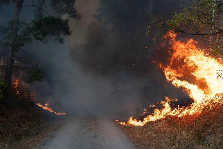 Flammen-sind-am-Rand-eines-Waldwegs-im-Huertgenwald-zu-sehen-Wegen-eines-Waldbrandes-in-der-Gemeinde-Huertgenwald-wird-der-Ortsteil-Gey-evakuiert