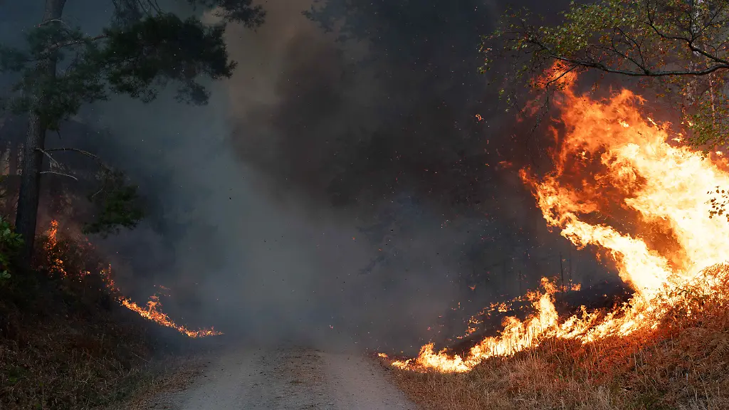 Flammen-sind-am-Rand-eines-Waldwegs-im-Huertgenwald-zu-sehen-Wegen-eines-Waldbrandes-in-der-Gemeinde-Huertgenwald-wird-der-Ortsteil-Gey-evakuiert