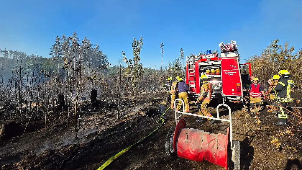 Die-Loescharbeiten-beim-Waldbrand-nahe-Plauen-dauern-auch-am-Samstag-an