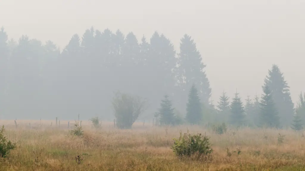 Lot-of-smoke-as-a-fire-rages-in-the-Hautes-Fagnes-High-Fens-nature-reserve-on-Saturday-15-August-2026-in-Jalhay-The-fire-started-on-August-14th-and-1600-hectares-on-a-total-of-4500-are-impacted