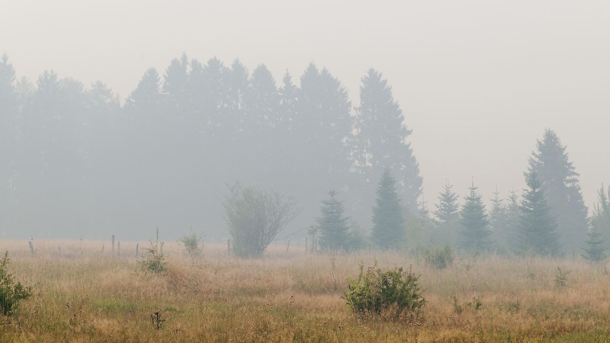 Riesiger Waldbrand in Belgien : Monschau in NRW bereitet mögliche Evakuierung vor