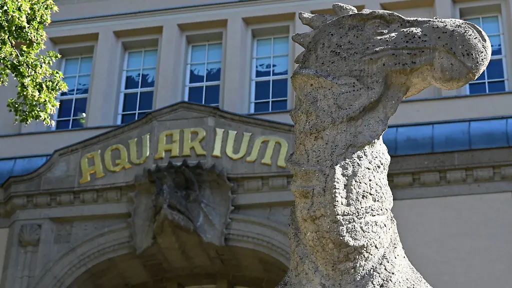Vor-dem-Aquarium-des-Berliner-Zoos-steht-eine-Nachbildung-eines-Dinosauriers-aus-der-Kreidezeit