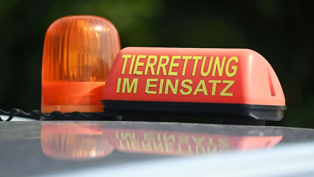 Das-Veterinaeramt-bekam-einen-Hinweis