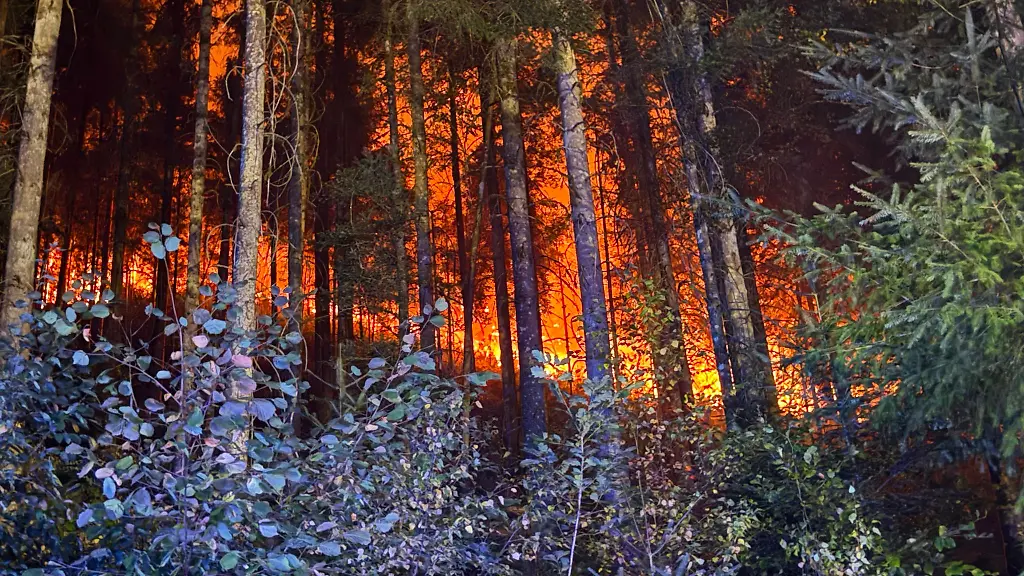 Der-Brand-ist-zwar-unter-Kontrolle-das-Feuer-war-aber-zunaechst-nicht-aus