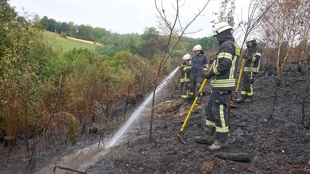 Nach-dem-Waldbrand-beim-Ortsteil-Gebhardshain-laeuft-der-Einsatz-weiter