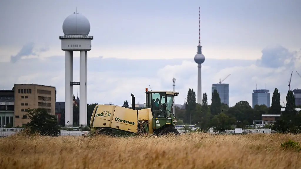 135-Hektar-muessen-gemaeht-werden