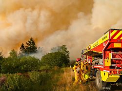 HANDOUT 17 08 2026 Belgien Waimes Das Von VHP Zur Verfuegung Gestellte Foto Zeigt Feuerwehrleute Im Einsatz Beim Grossbrand Im Naturschutzgebiet Hohes Venn Hautes Fagnes