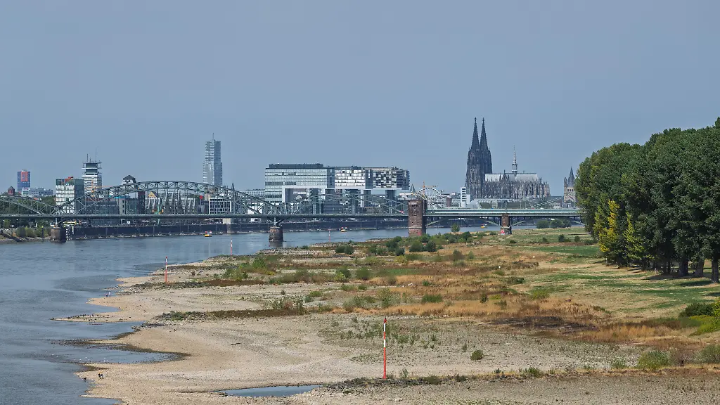 Blick-von-der-Rheinbruecke-Koeln-Rodenkirchen-A4-auf-die-Koelner-Skyline-bei-historischem-Niedrigwasser-des-Rheins-Das-Flussbett-liegt-groesstenteils-frei-Der-Pegel-Koeln-erreicht-einen-Tiefstand-von-45-cm-und-unterbietet-damit-den-bisherigen-Rekord-von-69-cm-aus-dem-Jahr-2018-deutlich-Die-Rheinschifffahrt-ist-durch-das-extrem-niedrige-Wasser-stark-eingeschraenkt