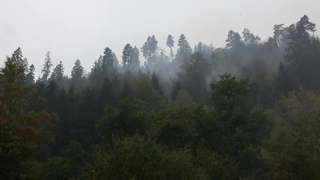 Rauch-steigt-bei-einem-Waldbrand-an-einem-steilen-Hang-nahe-Schramberg-im-Landkreis-Rottweil-auf-Die-Flammen-am-Hang-wuerden-von-drei-Seiten-bekaempft-Dadurch-habe-bislang-verhindert-werden-koennen-dass-sich-der-Brand-vor-allem-in-Richtung-eines-angrenzenden-Wohngebiets-ausbreite