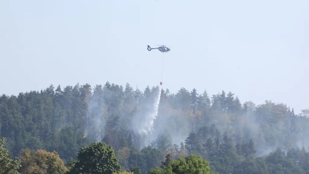 Feuerwehr-beendet-Einsatz-im-Schwarzen-Holz-bei-Plauen