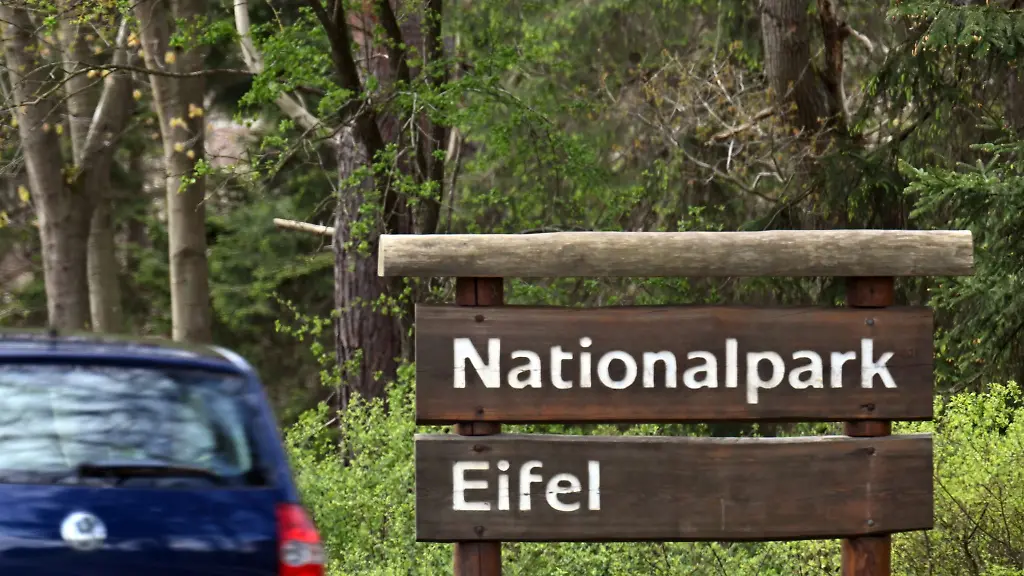 Nordrhein-Westfalens-erster-und-bislang-einziger-Nationalpark-befindet-sich-in-der-Eifel