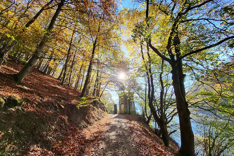 Herbstimpressionen-des-Wanderparadies-des-Nationalpark-Eifel-am-Rursee-Themenfoto-Deutschland-Eifel-Natur-Heimat-Herbst-08-11