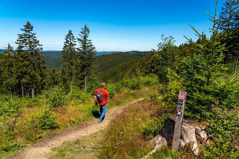 Wandern-im-Sauerland-auf-dem-Rothaarsteig-hier-bei-Jagdhaus-Ortsteil-von-Schmallenberg-NRW-Deutschland