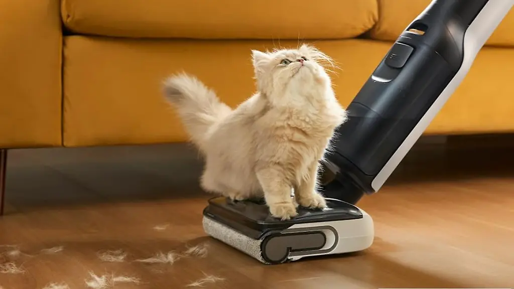 Dieser-Saug-Wischer-von-Roborock-ueberzeugt-nicht-nur-Katzen-sondern-auch-im-Produkt-Check-von-ntv