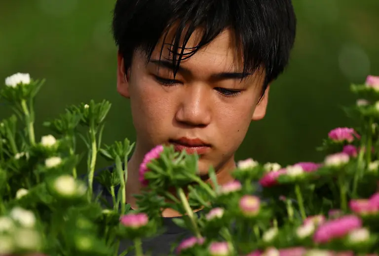 An-employee-at-the-Nikko-Engei-flower-farm-harvests-asters-in-a-field-in-Nikko-Tochigi-Prefecture-Japan-August-9-2026-REUTERS-Issei-Kato-SEARCH-KATO-JAPAN-FARMERS-FOR-THIS-STORY-SEARCH-WIDER-IMAGE-FOR-ALL-STORIES