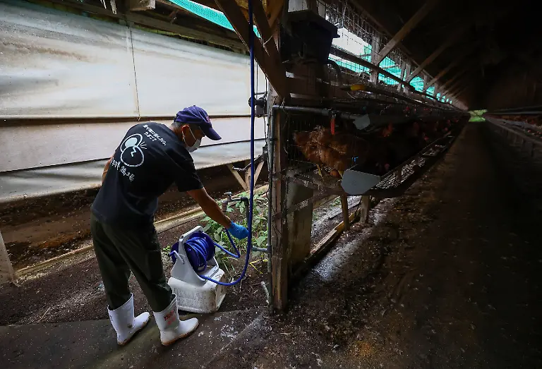 Tetsuya-Usuba-48-operates-a-system-that-sprays-water-onto-the-roofs-of-poultry-barns-to-lower-temperatures-at-the-Usuba-poultry-farm-in-Mashiko-Tochigi-Prefecture-Japan-August-10-2026-REUTERS-Issei-Kato-SEARCH-KATO-JAPAN-FARMERS-FOR-THIS-STORY-SEARCH-WIDER-IMAGE-FOR-ALL-STORIES