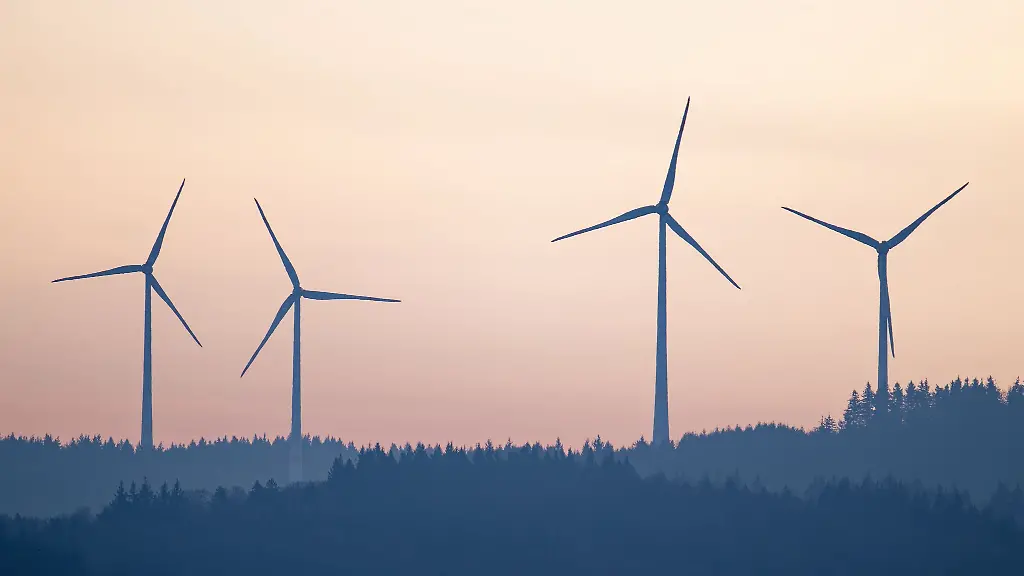Unbekannte-haben-die-Stromkabel-des-Windparks-bei-Oberkirch-sabotiert
