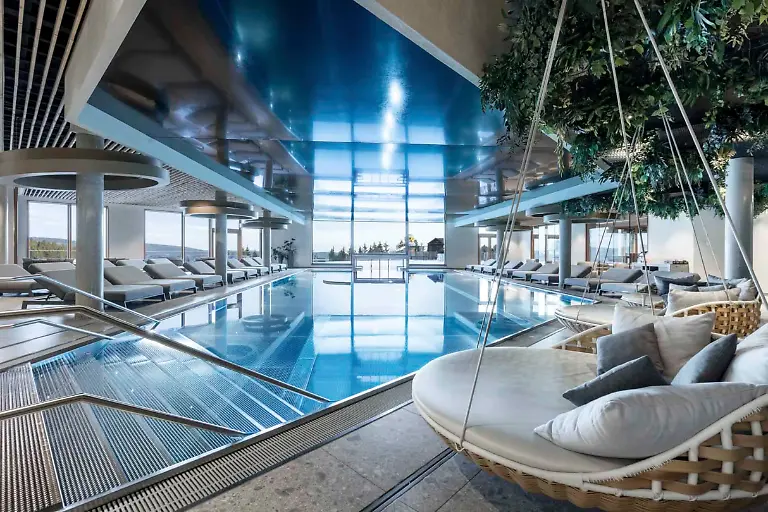 Wellness