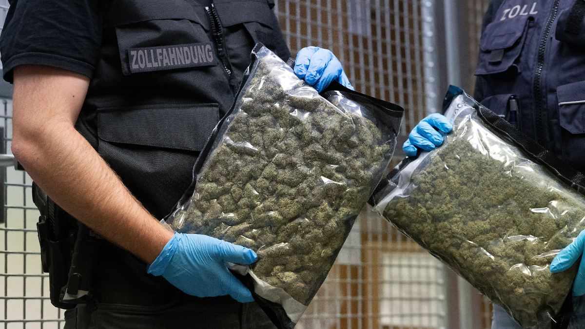 Marihuana im Millionenwert: Berliner Drogenbande erhält hohe Haftstrafen