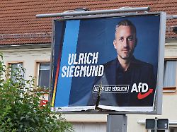Vor anstehender Landtagswahl: Neue Umfrage in Sachsen-Anhalt ergibt keine absolute AfD-Mehrheit