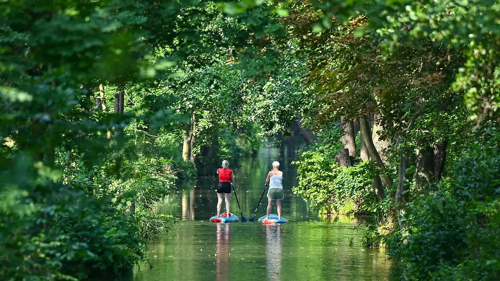 Wie-hier-im-Spreewald-ist-das-Stand-up-Paddling-ueberall-in-Brandenburg-beliebt