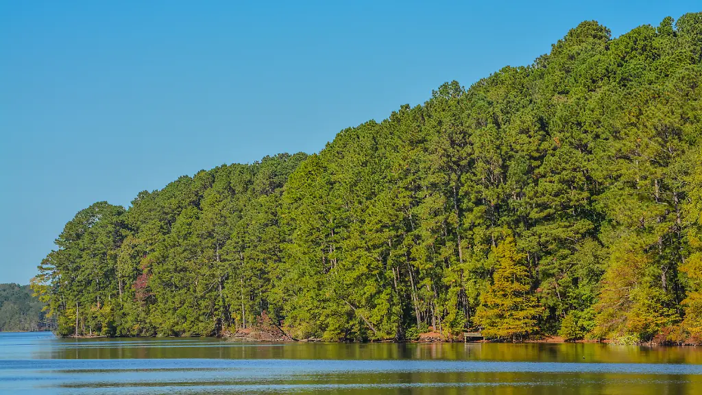 Beautiful-view-of-Lake-Claiborne-State-Park-in-Homer-Claiborne-Parish-Louisiana