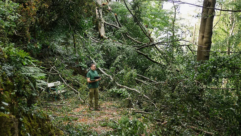 Ein-Unwetter-hat-am-Abend-des-19-August-auch-im-Schlosspark-Altenstein-zu-schweren-Schaeden-gefuehrt