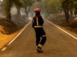 "Sofort Richtung Süden absetzen": Hunderte Menschen wegen Waldbrand in Spanien evakuiert