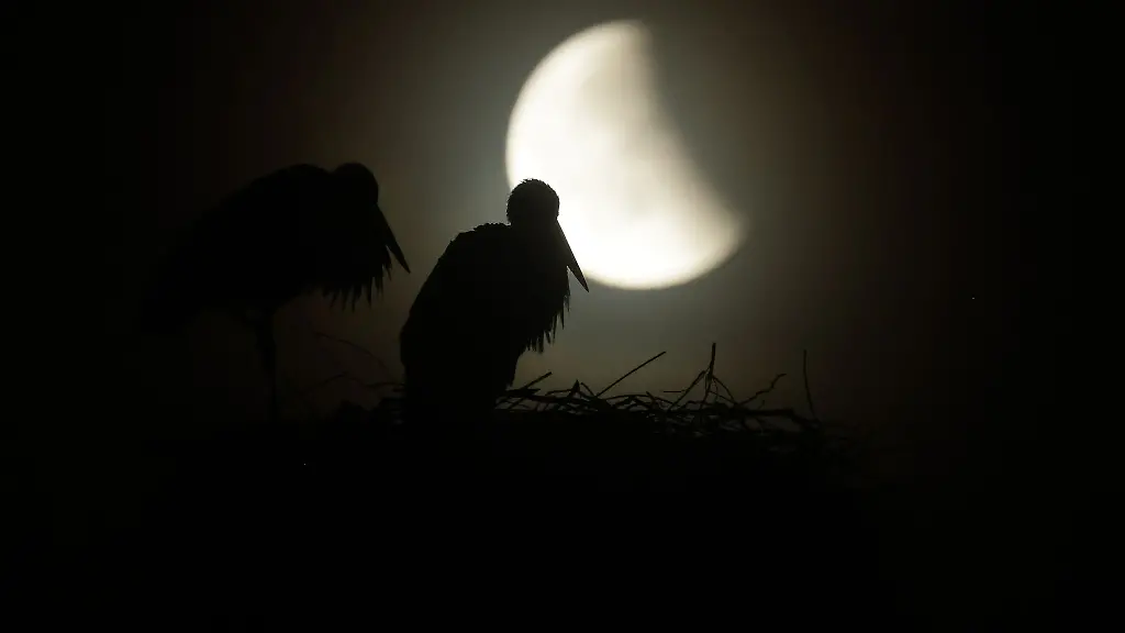 Wer-die-partielle-Mondfinsternis-sehen-will-muss-frueh-aufstehen