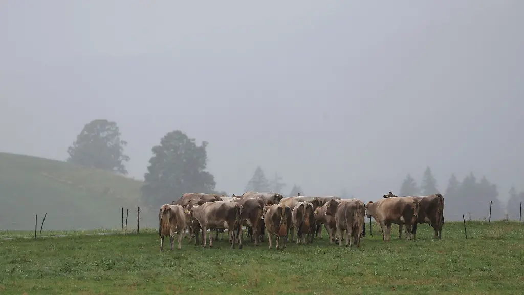 Das-Wetter-zeigt-sich-herbstlich-dunkel