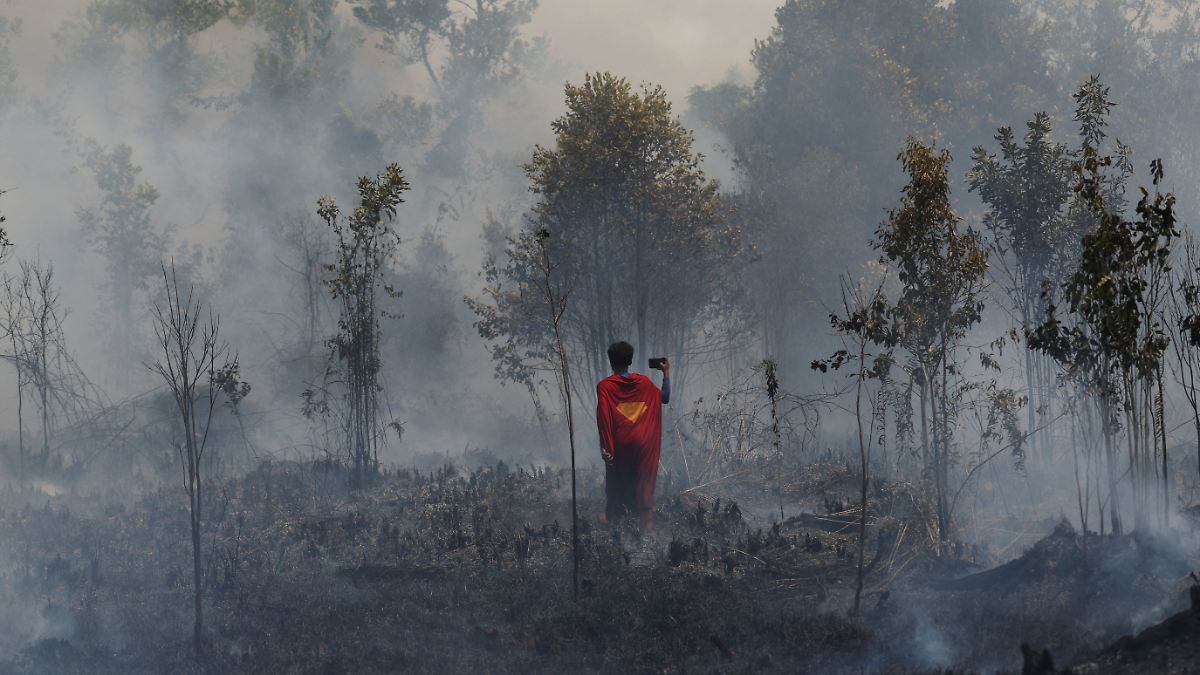 Heftige Waldbrände in Indonesien: Wie ein Jugendlicher als Superman die ...